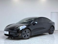 Tesla Model 3 556km Rear-Wheel Drive Edition - ფოტო 1
