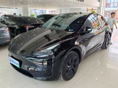 Tesla Model Y 554km Rear-Wheel Drive Edition - ფოტო 1