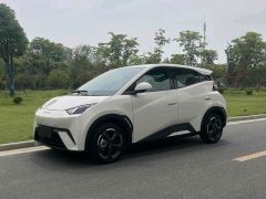 BYD Seagull Honor Edition 305km Free Version - ფოტო 1