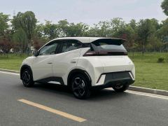 BYD Seagull Honor Edition 305km Free Version - ფოტო 12
