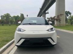 BYD Seagull Honor Edition 305km Free Version - ფოტო 2