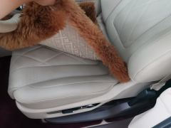 AITO HarmonyOS Intelligent Mobility M9 EREV 275km Ultra 6-seater - ფოტო 14