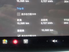 Tesla Model 3 556km Rear-Wheel Drive Edition - фото 15