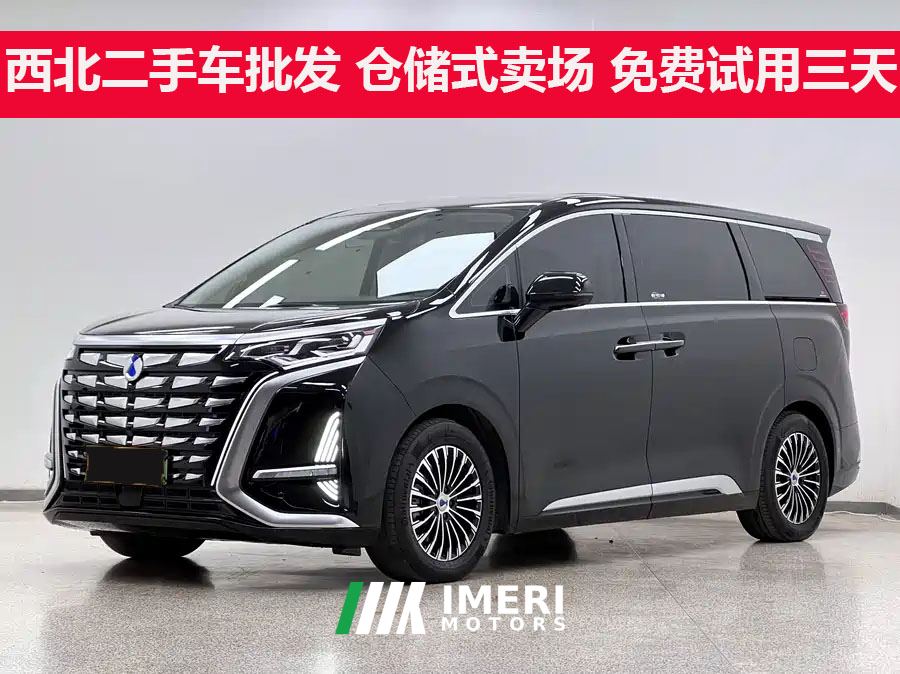 Denza D9 DM-i 1.5T 43km Luxury Version - ავტომობილი ჩინეთიდან
