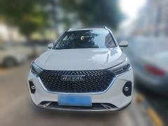 Haval M6 PLUS 1.5T Luxury Version - ფოტო 2