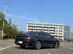 Geely Xingui Xingrui 2.0T Only this turquoise version - ფოტო 14