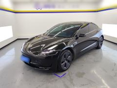 Tesla Model 3 556km Rear-Wheel Drive Edition - ფოტო 1