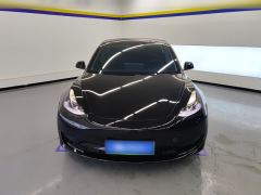 Tesla Model 3 556km Rear-Wheel Drive Edition - ფოტო 2