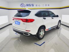 Haval M6 PLUS 1.5T Version - ფოტო 2