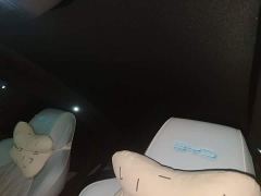 BYD Seal 650km AWD Performance Edition - ფოტო 14