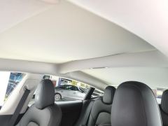 Tesla Model 3 556km Rear-Wheel Drive Edition - ფოტო 15
