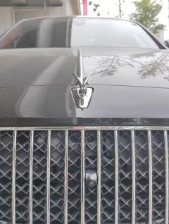 Bentley Flying 4.0T V8 Edition - ფოტო 8