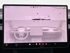 Tesla Model 3 830km Long Range Rear-Wheel Drive - ფოტო 11