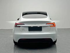 Tesla Model 3 830km Long Range Rear-Wheel Drive - ფოტო 20