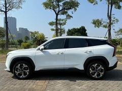 Geely Boyue L 2.0T Premium Version - photo 4