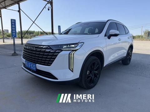 2025 Haval H6 Guochao Edition 1.5T 2WD Champion Edition - car from China