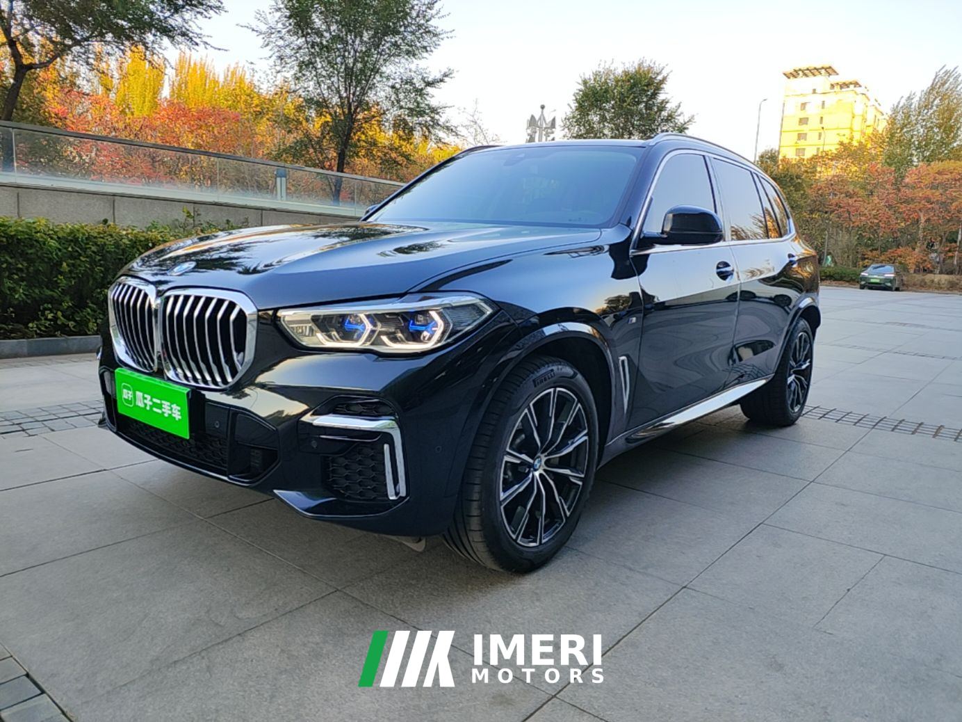 BMW X5 xDrive30Li Deluxe VersionM