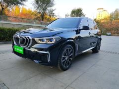 BMW X5 xDrive30Li Deluxe VersionM - ფოტო 1