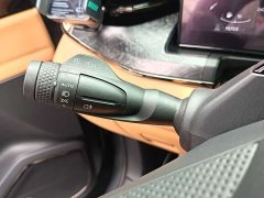 Lynk & Co 09 EM-P 2021 2.0T PHEV Ultra 7-Seater - photo 17