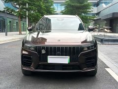 Lynk & Co 09 EM-P 2021 2.0T PHEV Ultra 7-Seater - photo 3