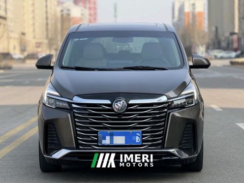 2023 Buick GL8 652T Luxury Version 7 - car from China