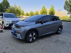 BYD Dolphin 420km Stylish Edition - photo 1