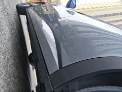 BYD Dolphin 420km Stylish Edition - photo 11
