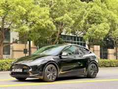 Tesla Model Y 719km Long Range AWD - ფოტო 1