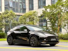 Tesla Model Y 719km Long Range AWD - ფოტო 3