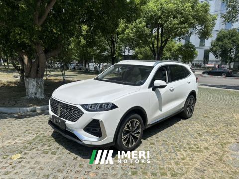 2022 Great Wall Wei brand latte 1.5T DHT