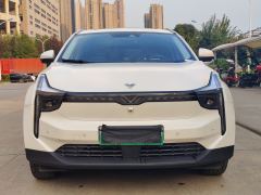 Neta U Pro 610 Luxury Driving Edition - фото 2