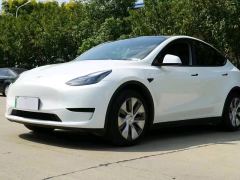 Tesla Model Y 660km Long Range AWD - photo 1