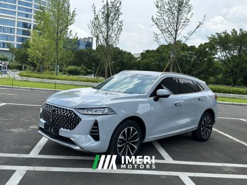 2021 Great Wall Mocha fuel Weipai Mocha Fuel Oil 2.0T Two-Wheel Drive Special Edition