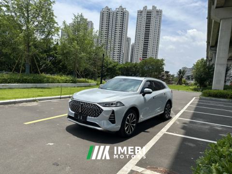 2021 Great Wall Mocha fuel Weipai Mocha Fuel Oil 2.0T Two-Wheel Drive Special Edition