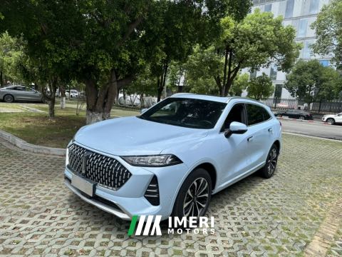 2021 Great Wall Mocha fuel Weipai Mocha Fuel Oil 2.0T Two-Wheel Drive Special Edition