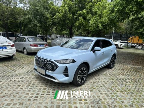 2021 Great Wall Mocha fuel Weipai Mocha Fuel Oil 2.0T Two-Wheel Drive Special Edition