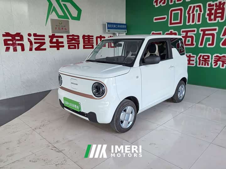 Geely Panda Mini 200km Endurance Edition - car from China