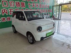 Geely Panda Mini 200km Endurance Edition - photo 2