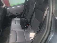 Tesla Model 3 Rear-Wheel Drive - фото 13