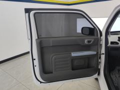 Geely Galaxy Panda mini 200km Animated Bear - photo 12