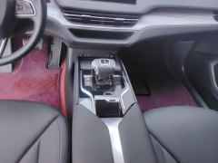 FAW Hongqi E-QM5 610km PLUS - photo 19