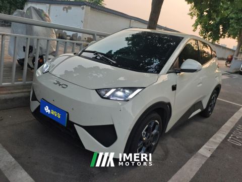 2025 BYD Seagull Smart Driving Edition 305km Free Version - ავტომობილი ჩინეთიდან