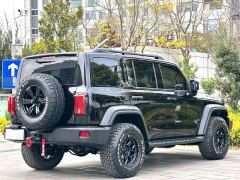 Tank 300 Off-Road Edition 2.0T Conqueror - ფოტო 9