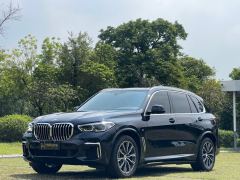 BMW X5 xDrive30Li Deluxe VersionM - ფოტო 1