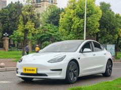 Tesla Model 3 556km Rear-Wheel Drive Edition - ფოტო 1