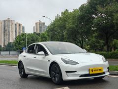 Tesla Model 3 556km Rear-Wheel Drive Edition - ფოტო 2