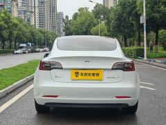 Tesla Model 3 556km Rear-Wheel Drive Edition - ფოტო 8
