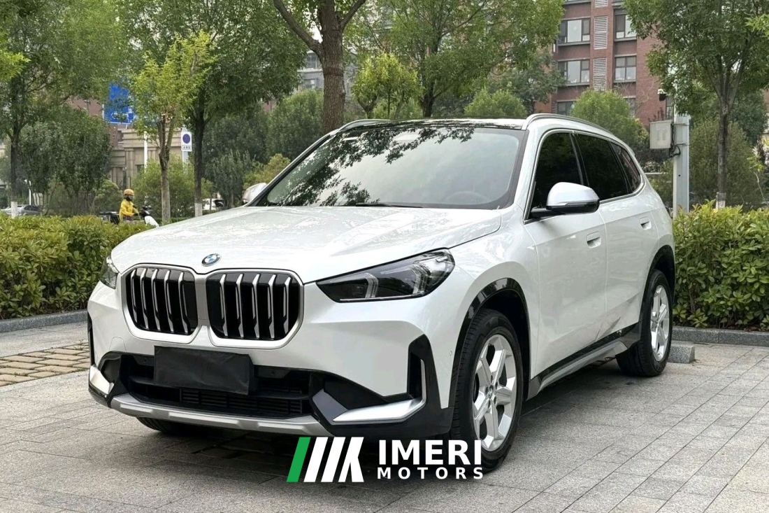 BMW X1 xDrive25Li M Sport Package - car from China
