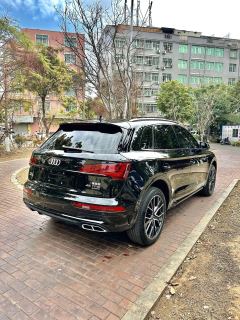 Audi Q5L 45 TFSI Luxury Dynamic - фото 8