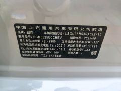Buick GL8 Luxun 2.0T Exclusive Edition - photo 11